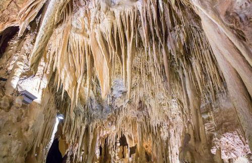 El Patio de la Morera - Foto 59