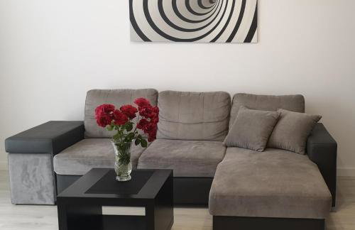 Apartament na Malczewskiego - Foto 4