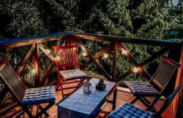 Villa Lara Varaždin - Beletinec - Foto 45