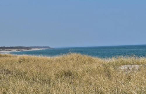 Fewo Möwe Dierhagen - Foto 23