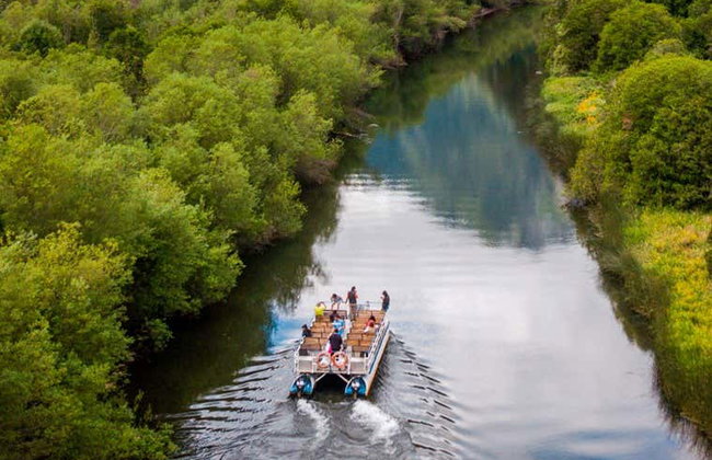 Visite de la vallée du río Negro - Photo 4