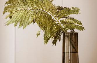 Likno Athens - Foto 148