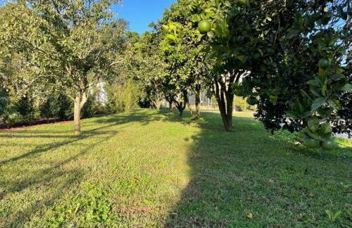 70's wood house - Foto 43