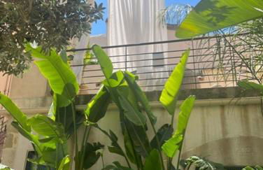 La Maison du Trident en Camargue Piscine et Jacuzzi - Foto 61