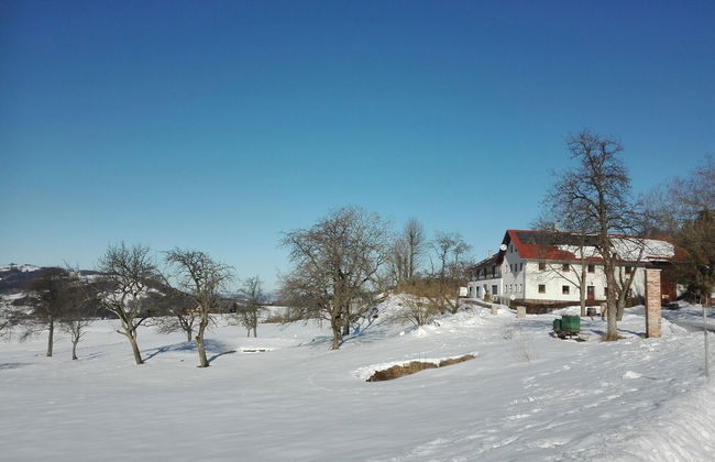 Loft-like Apartment With Swimming Pond - Photo 25