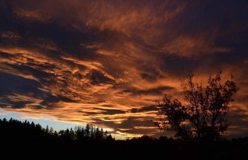 Pichler Roswitha - Foto 12