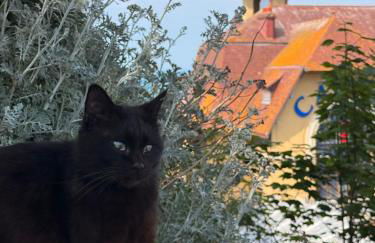 ECRIN DE CHARME 4 étoiles Jacuzzi privé 2 pers - Foto 79