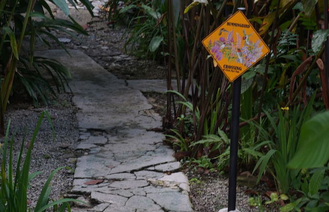 El Yunque Rainforest - Photo 34