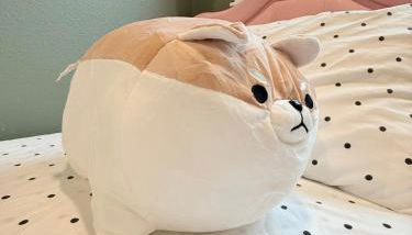 A-Treat-Retreat with AC,Laundry,Patio - Foto 5