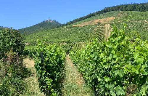 BONNE IDEE - Suite GEORGES - Meublé de tourisme 4 étoiles - Foto 51