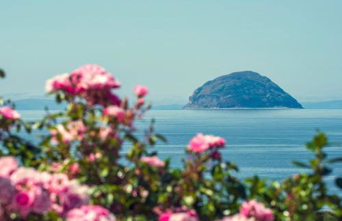 Cairn-O-Mhor - Foto 15