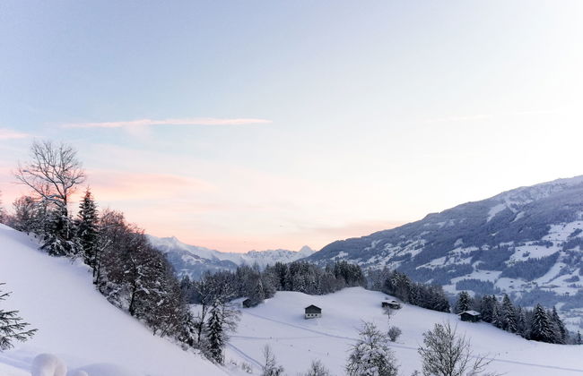 Apart Wurm - Foto 22