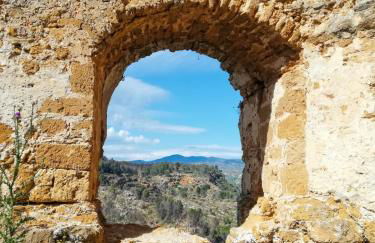 White Lotus - Foto 10