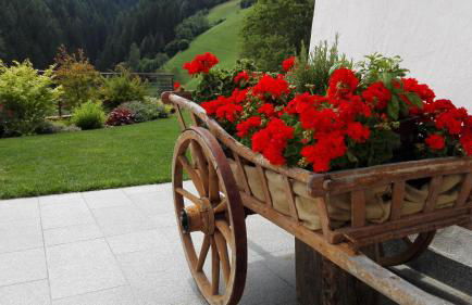 Apartment CANUS - Krumas Living - Kronplatz - Photo 18