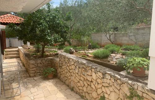 Apartments Marko - Photo 14