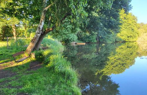 Ferienhaus Am Schlenken Lychen Uckermark - Photo 9