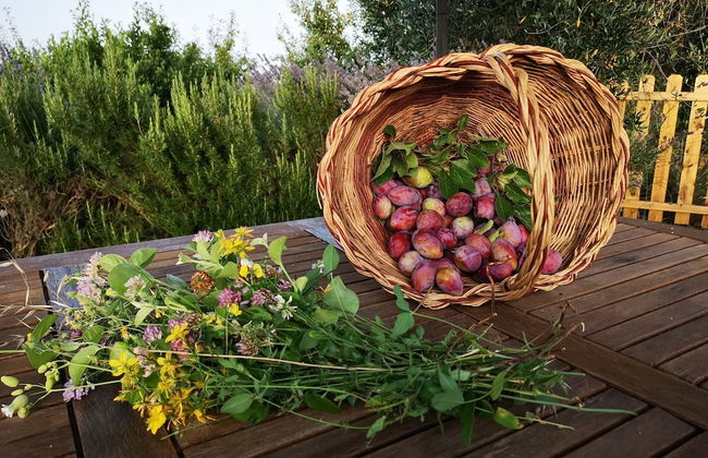 Frateria Di San Benedetto - Foto 43