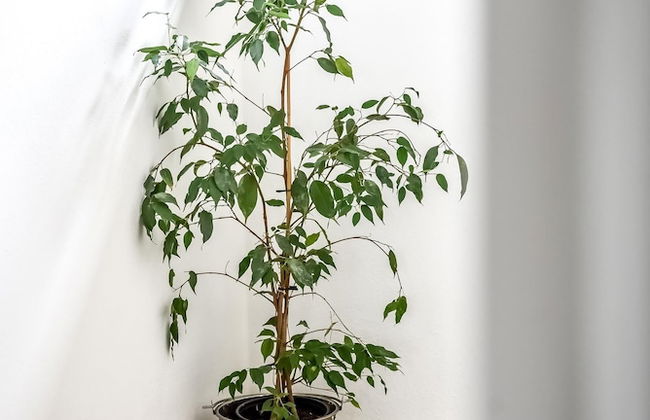 Apartamenty Dwupoziomowe Dwa Widoki Jacuzzi & Sauna - Foto 34