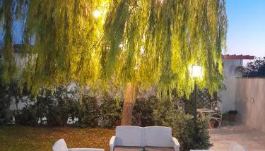 Casa vacanza Augusto - Photo 5, Garden, Garden view