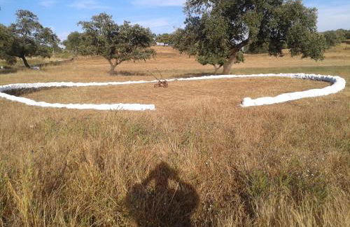 Casa Rural El Tejar - Foto 44