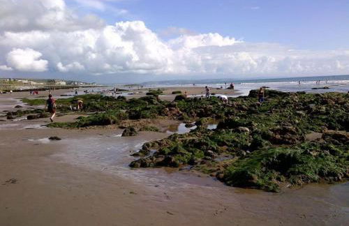 Trem Y Mor - Edge of the Sea - Foto 38