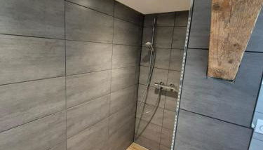 Schwarzwaldklause Schwarzwälder Hirsch - Foto 4, Shower