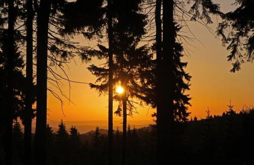 Extrablatt - Foto 11