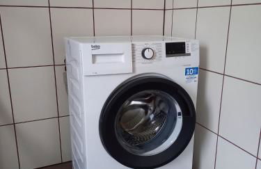 Ferienwohnungen Nibelungenwald - Foto 110