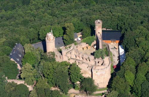 Schloss Auerbach Große Ferienwohnung - Photo 30