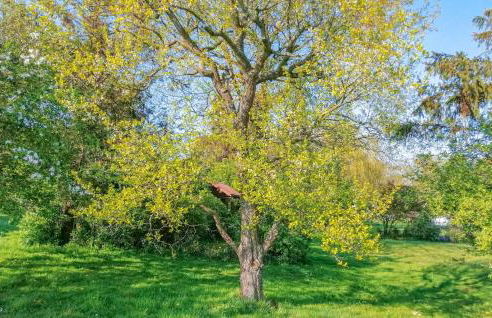 Nice Home In Drochtersen - Foto 12