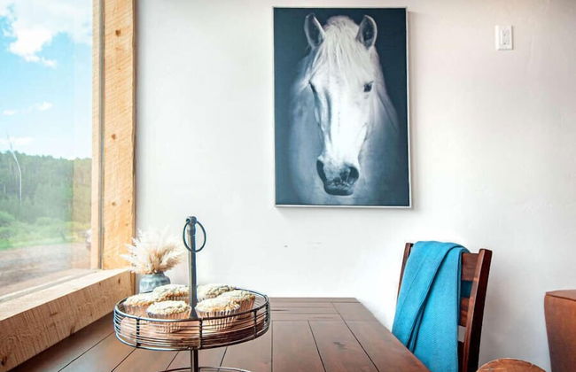 EML 1 Pack Saddle Jack - Foto 39