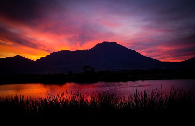 Reflections Guest Farm - Photo 67