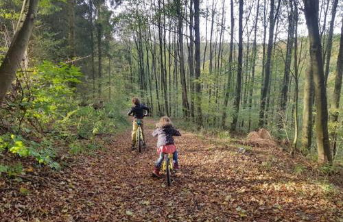 Sonnenschein am Rursee - Foto 46