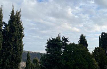 Agriturismo i Merli - Foto 35