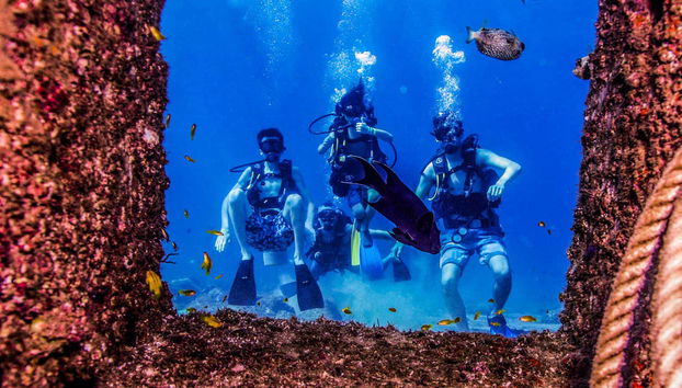 Learning to scuba dive