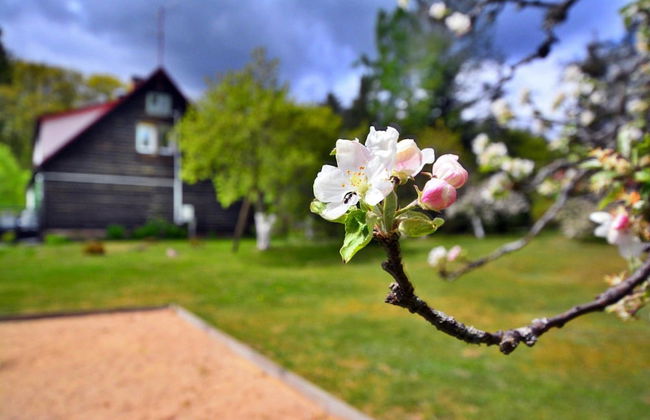 Comfortable Holiday Home in the Middle of a Forest - Photo 32