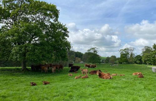 The Saddlehouse at Wykeham - Foto 50