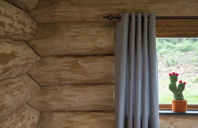 Traditional Scandinavian/north American Log Home - Foto 22