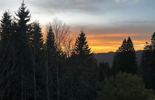Feldberg Apartment - direkt an der Skipiste - mit Sauna - Foto 49