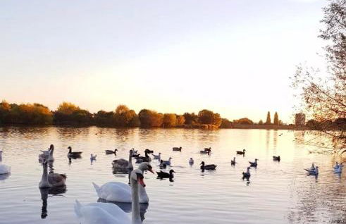 Brand New, modern flat near Wembley Stadium - Foto 25