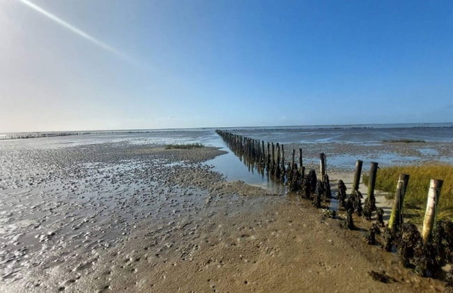 6 Person Holiday Home in Ribe-by Traum - Foto 33