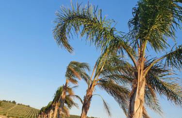 Casa Vacanze Gioberta - Foto 15