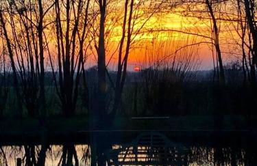 The BeeKeepers - Homely Luxurious Self Catering - Foto 69