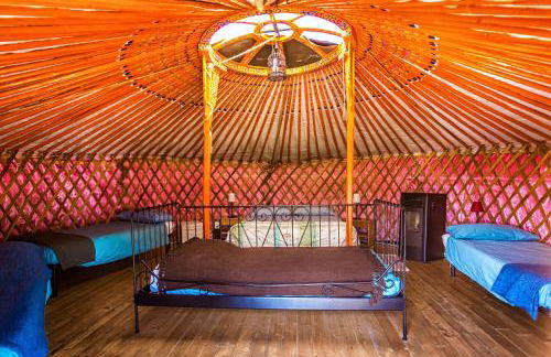 Società Agricola Cacigolara - Photo 49