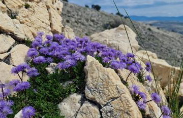 SWIM and CLIMB BAŠKA HOLIDAY HOUSE - island KRK - Foto 74