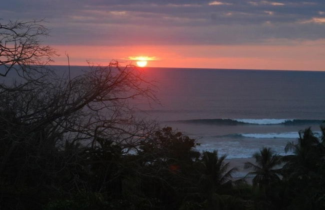 Royal Palm Villas - Foto 39