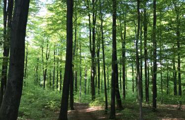 Apartment Grüne Welle - Foto 25