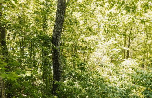 Little blue house on the lake - Photo 40