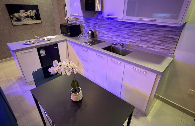 Dana Serviced Apartments2 - Photo 68