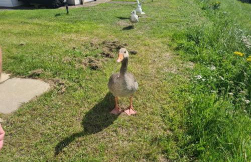 The Seaflower - With Lake Views - Foto 33